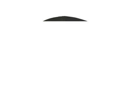 DeliVita Wood-Fired Pizza Oven - Chillie Red - Chefs Collection