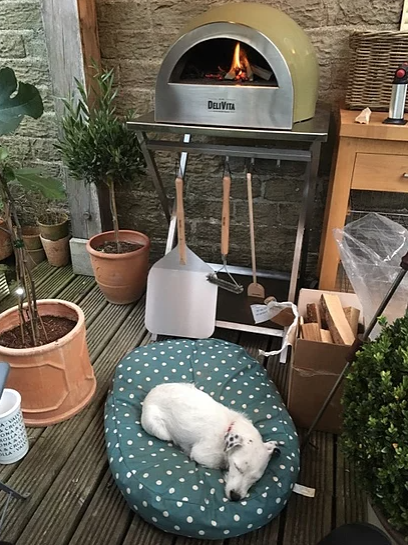DeliVita Wood-Fired Pizza Oven - Olive Green